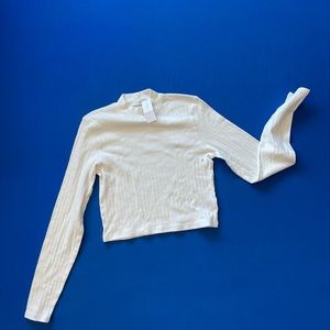 American Eagle long sleeve crop top